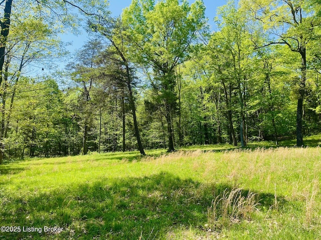1179 Patriots Landing Ln, Falls Of Rough, KY 40119