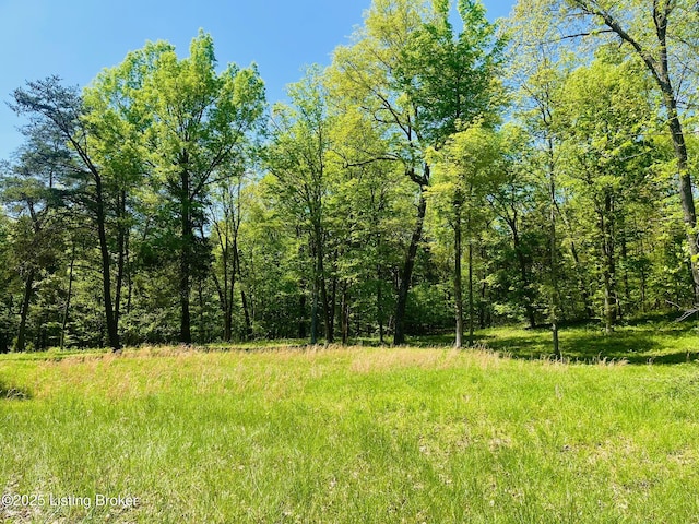 1179 Patriots Landing Ln, Falls Of Rough, KY 40119