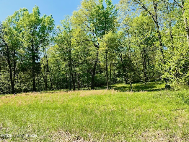 1179 Patriots Landing Ln, Falls Of Rough, KY 40119