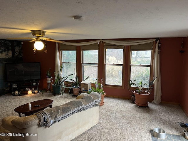 living room featuring a textured ceiling and carpet