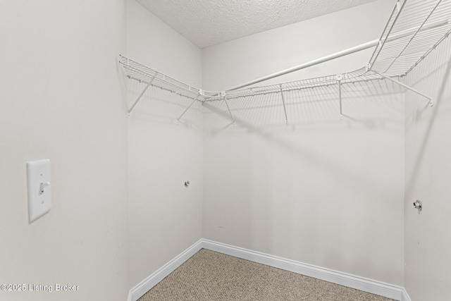 spacious closet featuring carpet