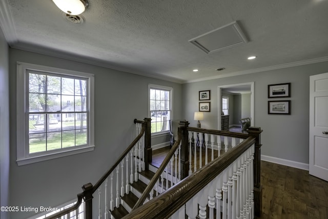 hall featuring ornamental molding, dark hardwood / wood-style floors, and a textured ceiling