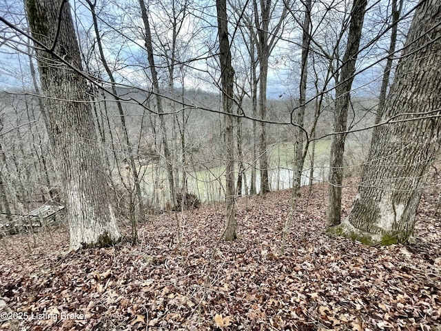 9 Serenity Cove Ln, Mammoth Cave KY, 42259 land for sale