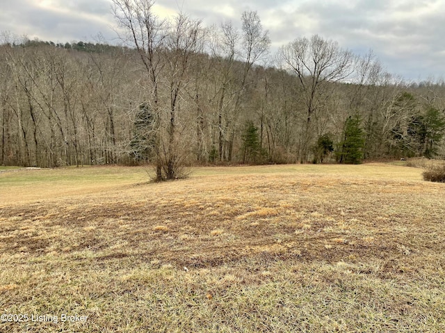 Listing photo 3 for 9 Serenity Cove Ln, Mammoth Cave KY 42259