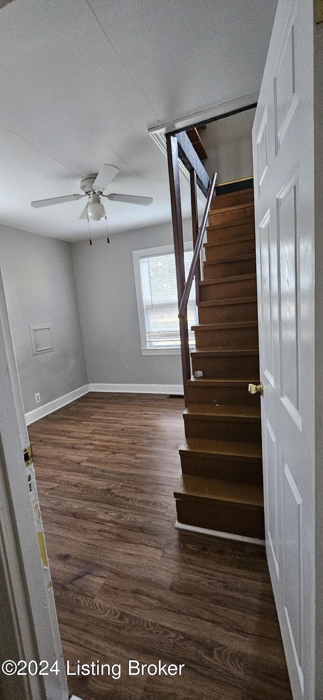 stairway featuring hardwood / wood-style flooring and ceiling fan