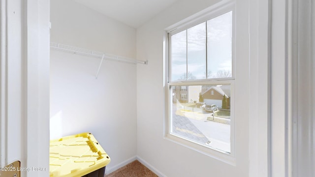 spacious closet featuring carpet flooring