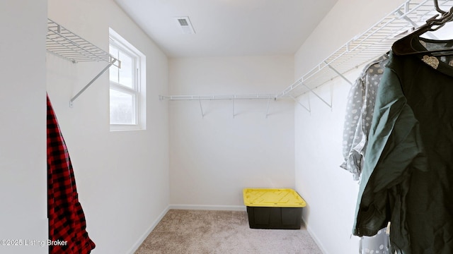 spacious closet with light carpet