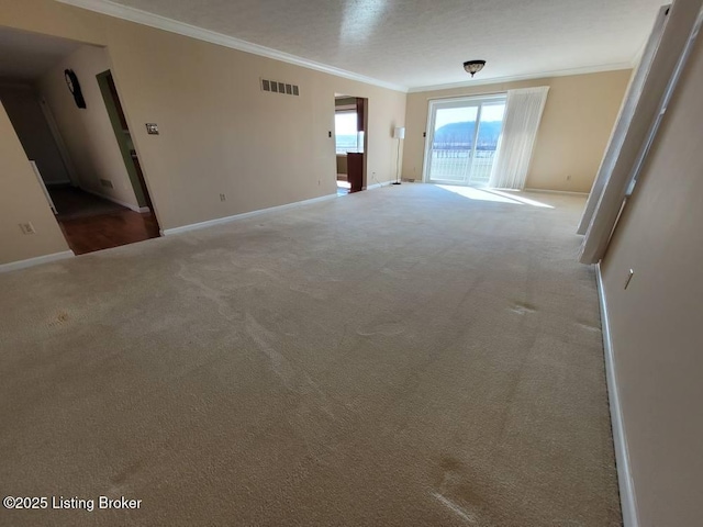 spare room with crown molding and carpet