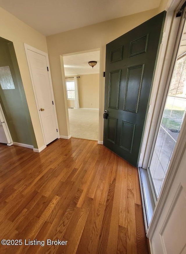 foyer with hardwood / wood-style flooring