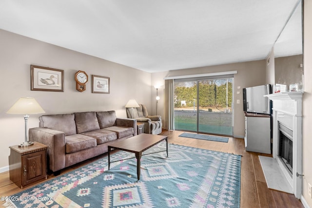 living room featuring hardwood / wood-style flooring