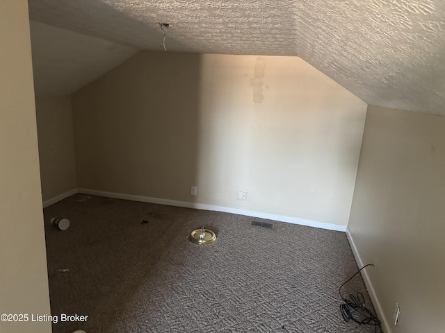 additional living space featuring carpet floors, vaulted ceiling, and a textured ceiling