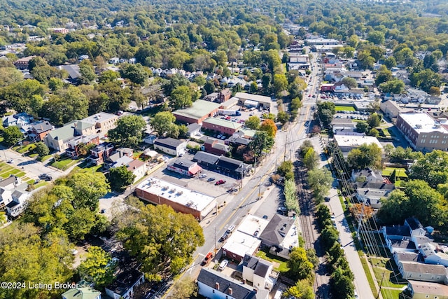 bird's eye view