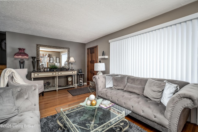 living room featuring a textured ceiling and wood finished floors