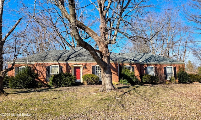 ranch-style home featuring a front lawn