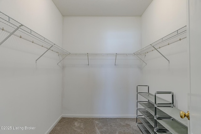 spacious closet with carpet