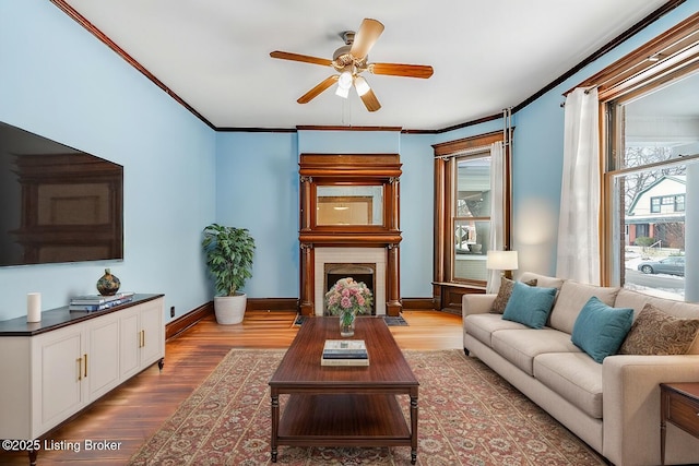 living room with baseboards, light wood-style floors, a fireplace, and crown molding