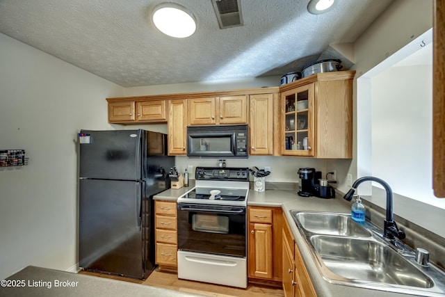 kitchen with sink, a textured ceiling, and black appliances