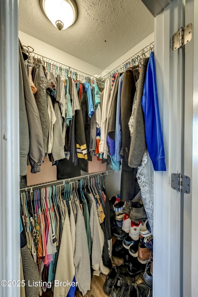 spacious closet with wood-type flooring