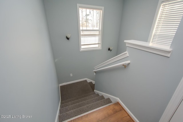 stairs featuring hardwood / wood-style flooring