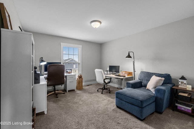 office featuring carpet flooring