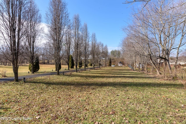 view of property's community featuring a yard