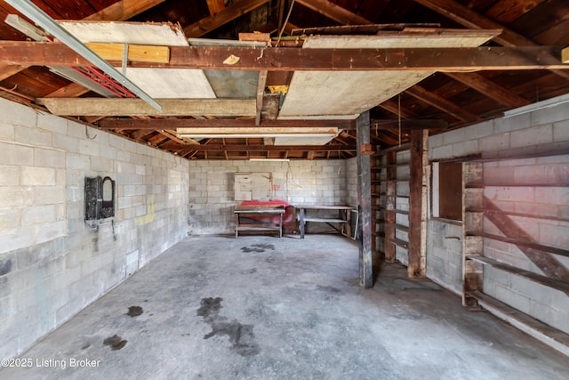 basement with concrete block wall