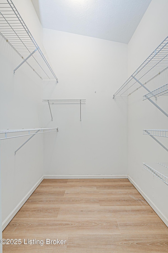 walk in closet with light wood-type flooring