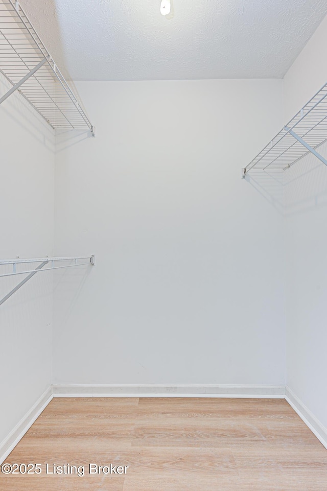 spacious closet featuring light wood-style flooring