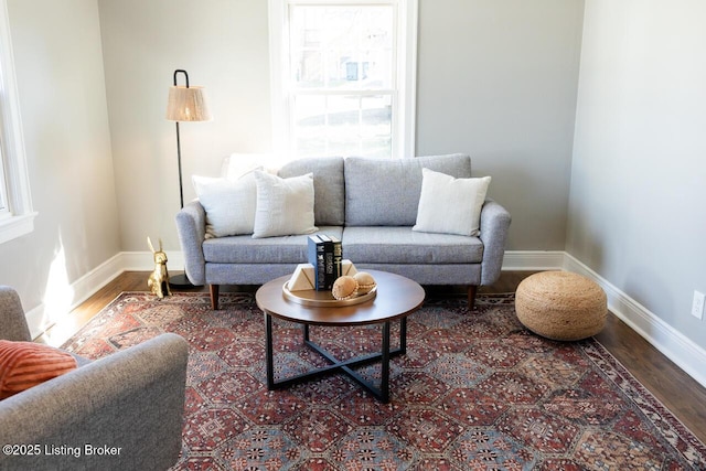 living room featuring hardwood / wood-style flooring