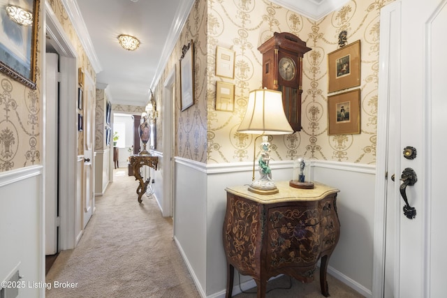 corridor with ornamental molding and light colored carpet