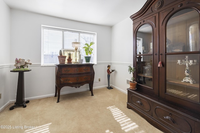 interior space with light colored carpet