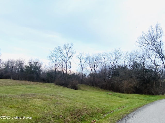 1805 Wildbriar Ct, La Grange KY, 40031 land for sale