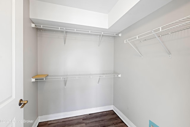 walk in closet featuring wood finished floors