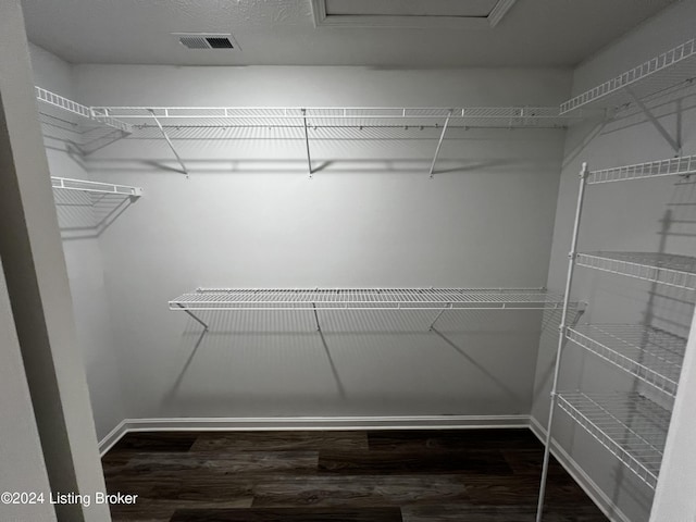 walk in closet featuring wood-type flooring