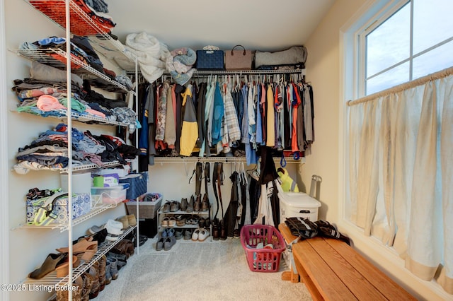 walk in closet featuring carpet flooring