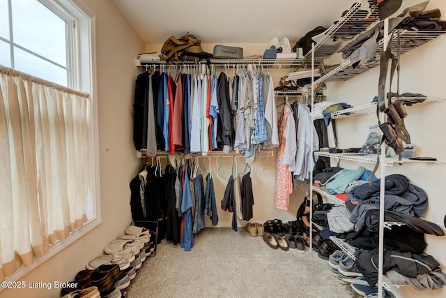 walk in closet with carpet floors