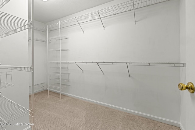 walk in closet featuring carpet flooring