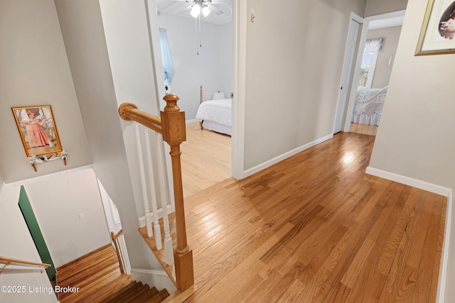 hall featuring light hardwood / wood-style flooring