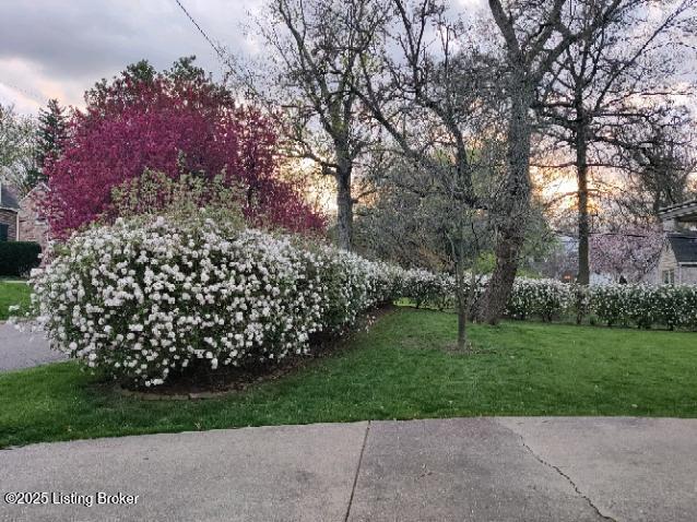 view of yard at dusk