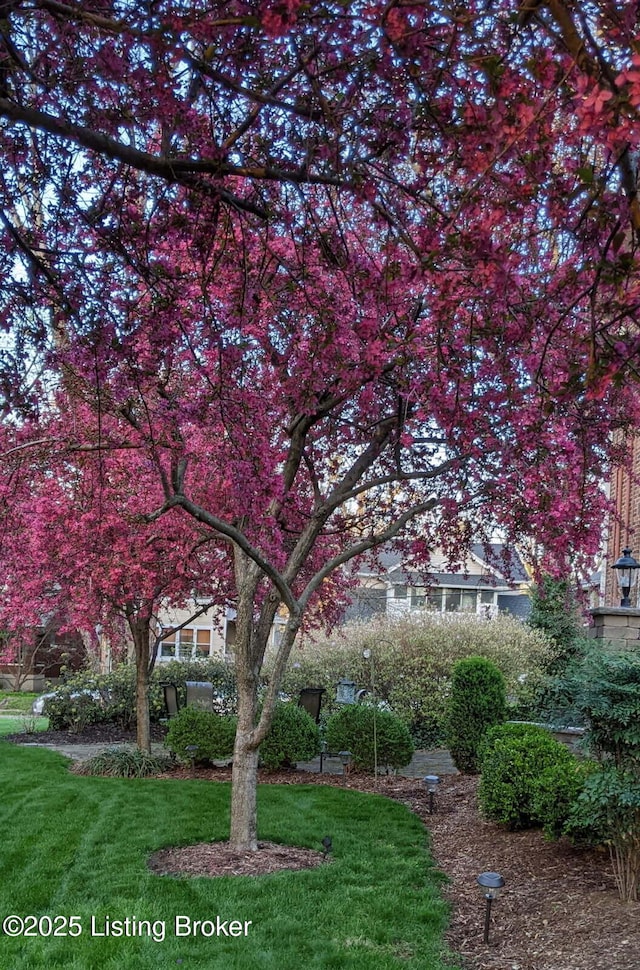 view of community featuring a yard