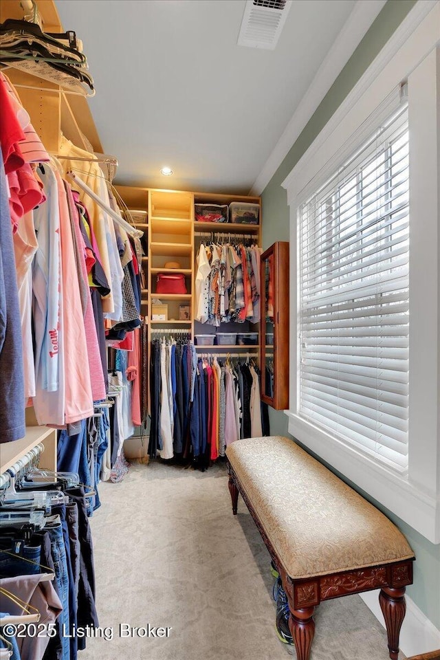 spacious closet featuring carpet floors