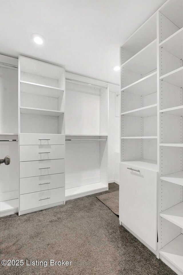 walk in closet with carpet flooring