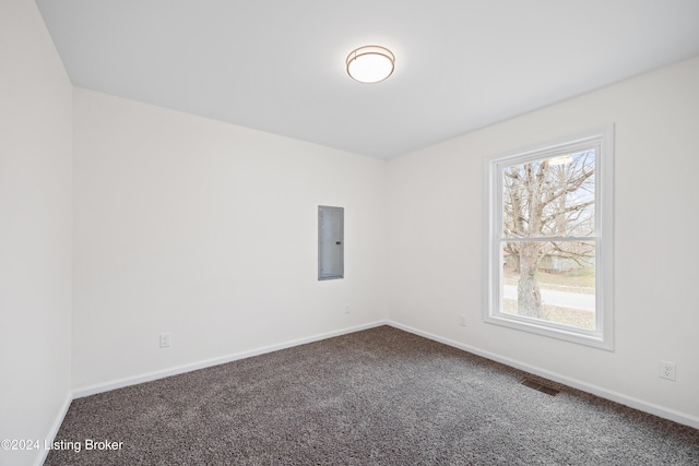 unfurnished room with electric panel and carpet