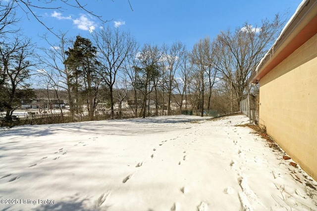 view of yard layered in snow