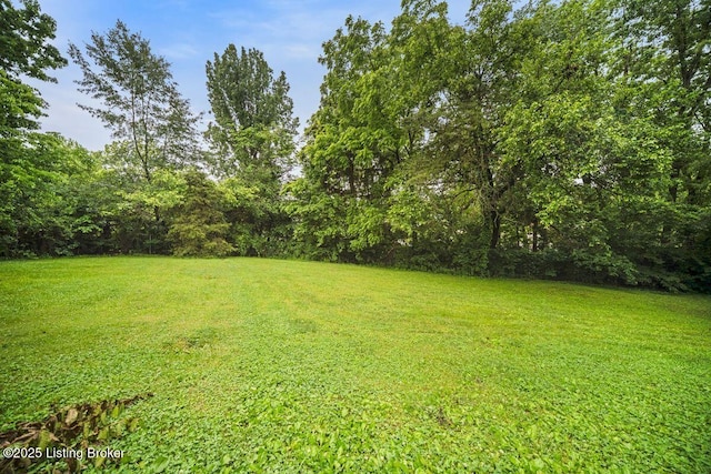 9828 Titan Dr, Louisville, KY 40229 - view of green lawn