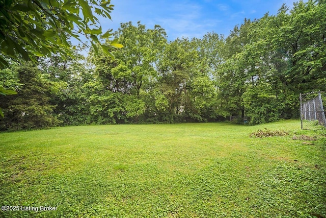 9828 Titan Dr, Louisville, KY 40229 - view of yard