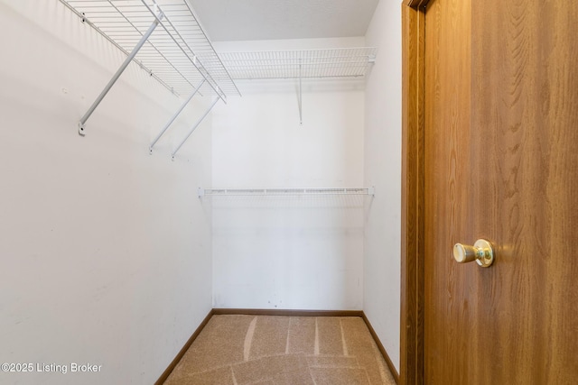 spacious closet with carpet flooring