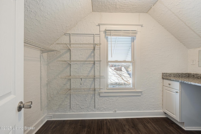 spacious closet featuring lofted ceiling and dark hardwood / wood-style flooring
