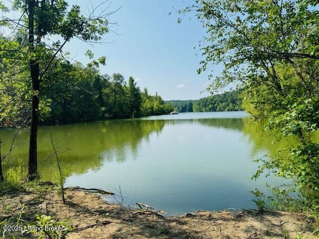 water view with a view of trees