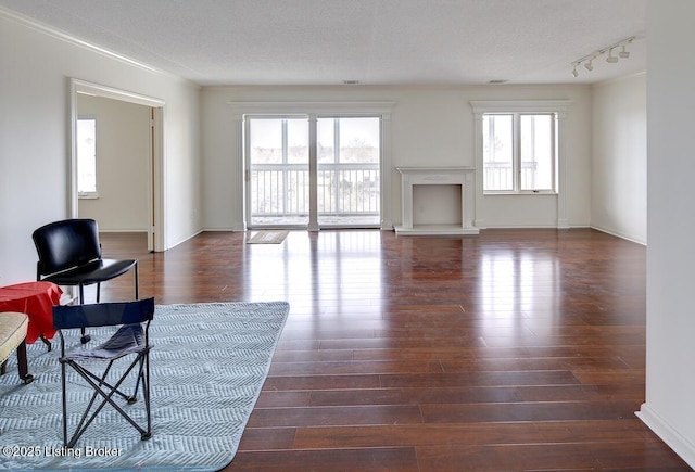 living room featuring dark wood-type flooring and a wealth of natural light